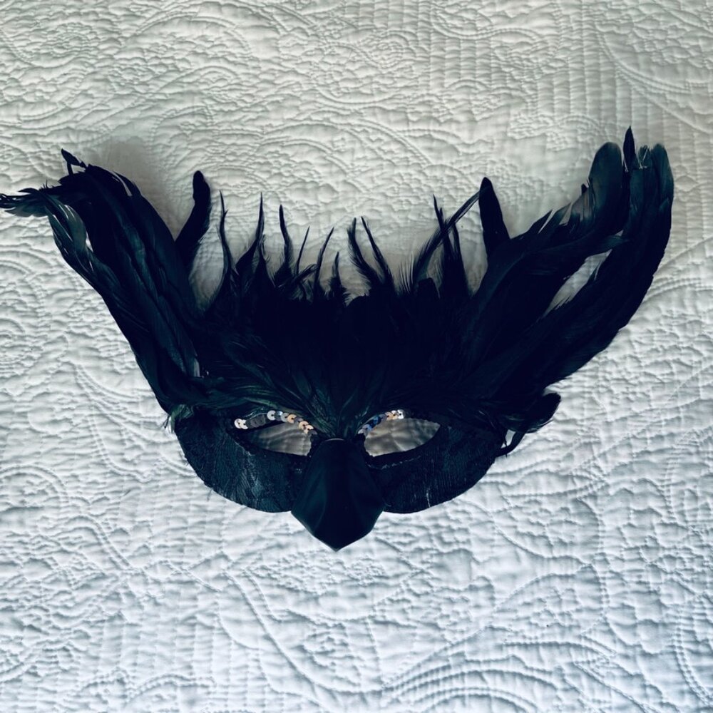 Raven/Crow Costume Black Wings/Mask/Feathers